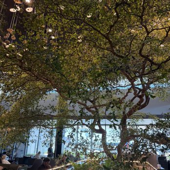 Amex Centurion Lounge - Lounges Near Me - Atlanta, Georgia