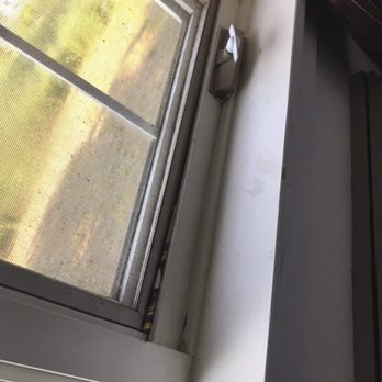 Algonquin Lakeside Inn - Paper in the window? - Hotels Near Me - Dwight, Ontario