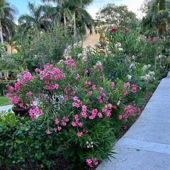 Hotel Marina El Cid - Resorts Near Me - Puerto Morelos, ROO
