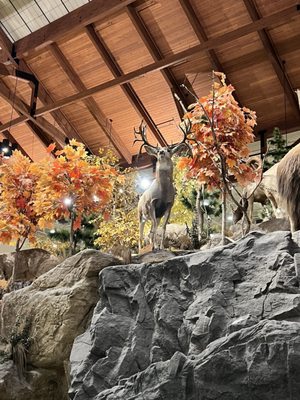 Bass Pro Shops (Formerly Cabela's) by null