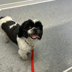 Pet Valu - Beau