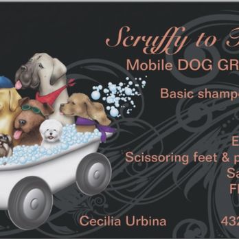 Scruffy to Fluffy Mobile Grooming - Pet Groomers Near Me Scruffy to Fluffy Mobile Grooming - Pet Groomers Near Me