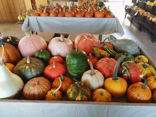 Strawberry Hill Farms by null