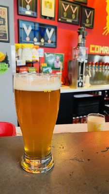 Comrade Brewing Company by null