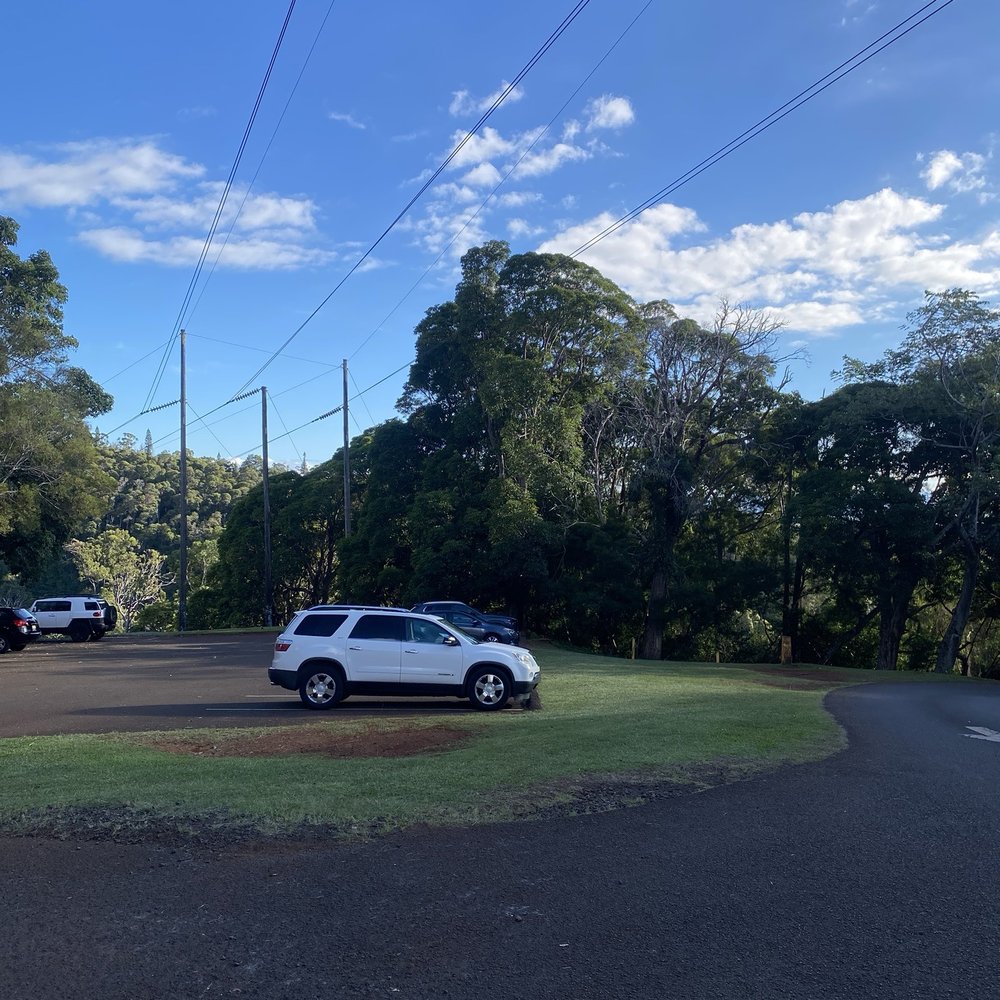Aiea Loop Trail - Hiking Near Me - Aiea, Hawaii