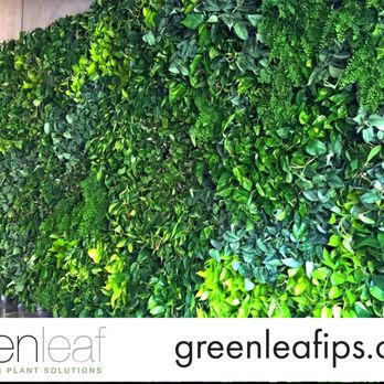 Greenleaf Interior Plant Solutions - Live Wall by Greenleaf IPS - Interior Design Near Me - San Diego, California Greenleaf Interior Plant Solutions - Live Wall by Greenleaf IPS - Interior Design Near Me - San Diego, California