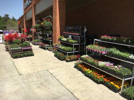 TRIANGLE ACE HARDWARE - Updated July 2026 - 11 Photos & 27 Reviews ...
