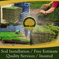 Golden Oak Landscape and Tree Service  - Instalación de Sod