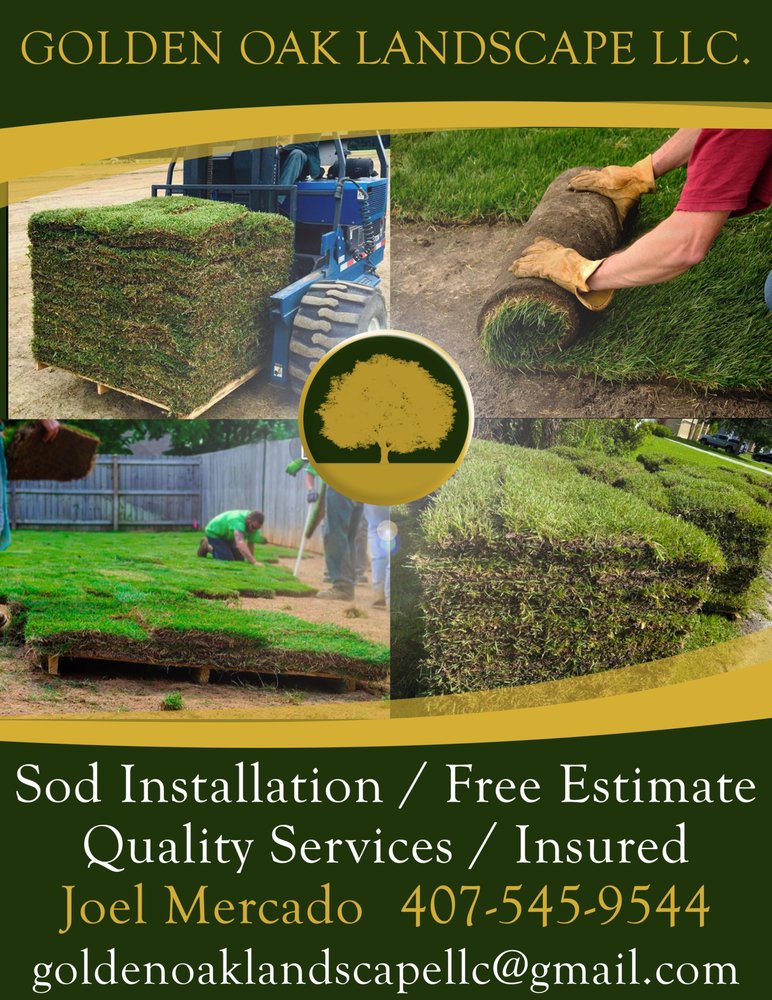 Golden Oak Landscape and Tree Service - tree service in Orlando, FL