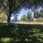 Photo of Stardust Skies Park
