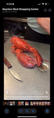 Captain's Catch Seafood Restaurant by null