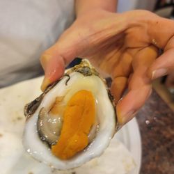 K & C Food Wholesale - Oyster + Uni = wow!