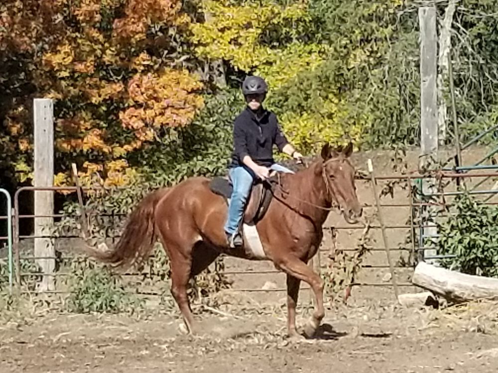 Meadowcrest Farm - equestrian in Catawissa, MO