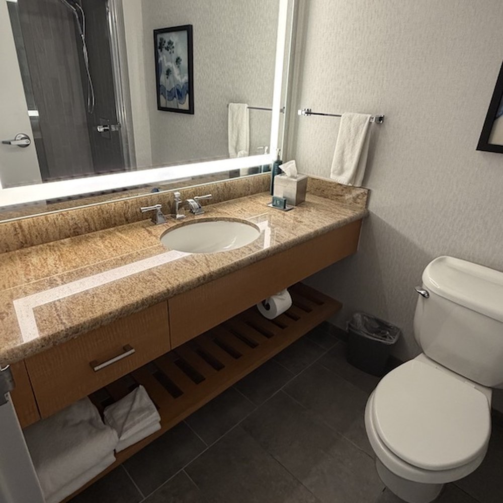 Hotel Fera Anaheim, a DoubleTree by Hilton - A good amount of counter and storage space in the bathroom. - Hotels Near Me - Orange, California Hotel Fera Anaheim, a DoubleTree by Hilton - A good amount of counter and storage space in the bathroom. - Hotels Near Me - Orange, California