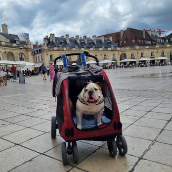 Place de la Libération - Public Plazas Near Me