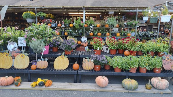 Auntie El's Farm Market by null