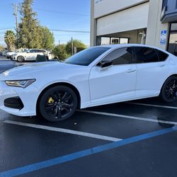 AutoNation Acura Stevens Creek - Acura TLX