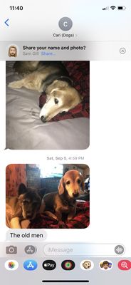 Cari’s Pet Service