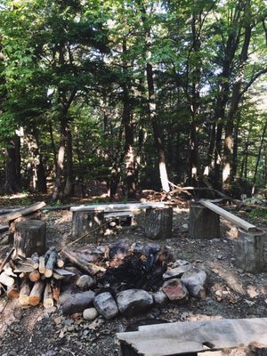 Magic Forest Farm by null