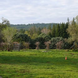 Fleming Jones Homestead - Vineyard view from deck