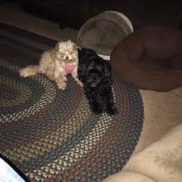 Bentley and lexis Bentley and lexis