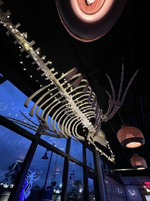 The Whale A Craft Beer Collective by null