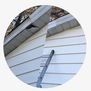 St Louis Pest Control - Wildlife Exclusion Repairs - Pest Control Near Me - Jennings, Missouri St Louis Pest Control - Wildlife Exclusion Repairs - Pest Control Near Me - Jennings, Missouri