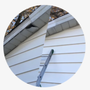Photo of St Louis Pest Control