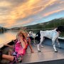 Martha Lake Vet Clinic
