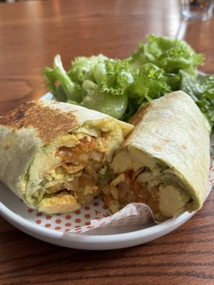 Shy Bird - Fenway by null