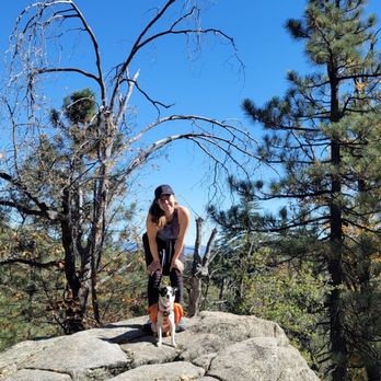 Fry Creek Campground - Campgrounds Near Me - Palomar Mountain, California