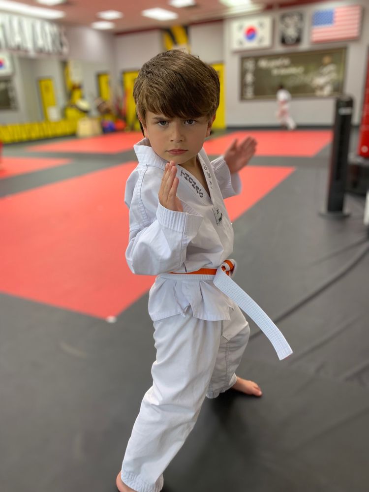 J Tiger Martial Arts Logo