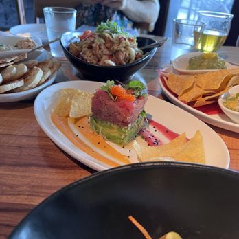 Shore - Tuna Tartare - New American Near Me - Longboat Key, Florida