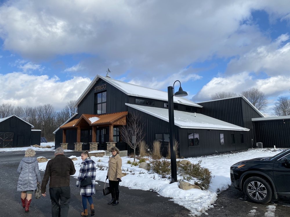 Strigo Vineyards - vineyard in Baldwinsville, NY