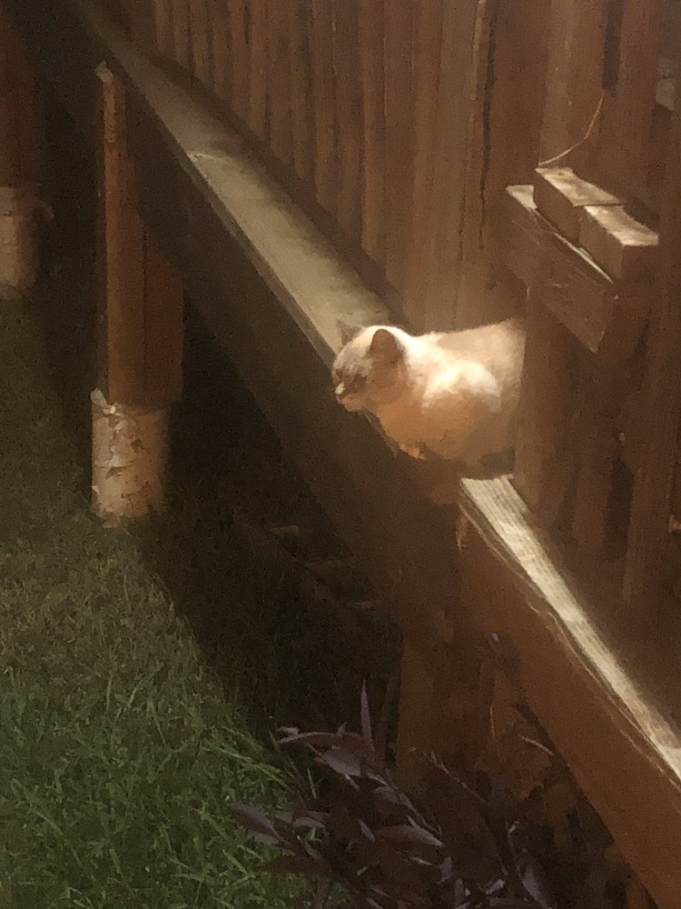 American Legion Wm J Bordelon Post 300 - veterans service organization in San Antonio, TX