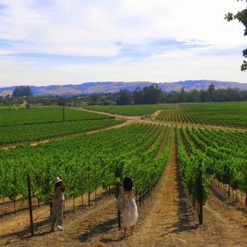 Scribe Winery - Wineries Near Me - Sonoma, California Scribe Winery - Wineries Near Me - Sonoma, California