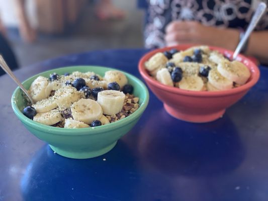 Backyard Bowls by null