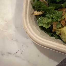 What could be worse than a hair? Two pieces of thin wire in my salad! What could be worse than a hair? Two pieces of thin wire in my salad!
