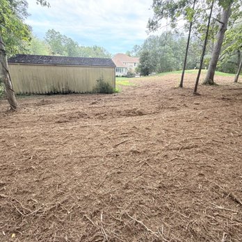 Virginia Forestry Mulching & Excavating - Cleared bamboo, underbrush, small trees. - Excavation Services Near Me Virginia Forestry Mulching & Excavating - Cleared bamboo, underbrush, small trees. - Excavation Services Near Me