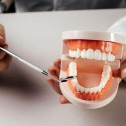 West Shore Family Dentistry - Untitled