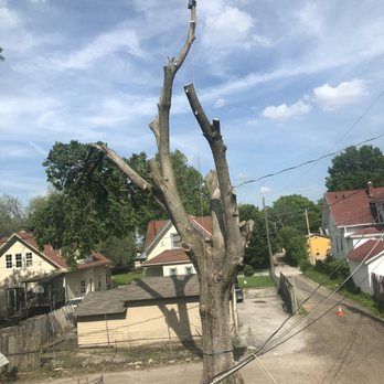 Outlaw Tree Service, LLC - Tree - Tree Services Near Me Outlaw Tree Service, LLC - Tree - Tree Services Near Me