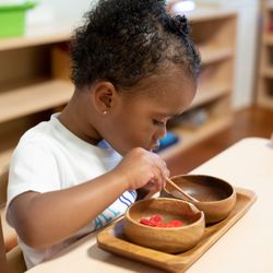 The Baltimore Montessori Locust Point