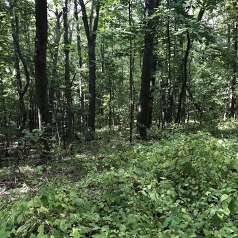Kensington Metropark - Horseback Riding Near Me - Milford, Michigan