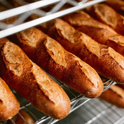 Starter Bakery by null