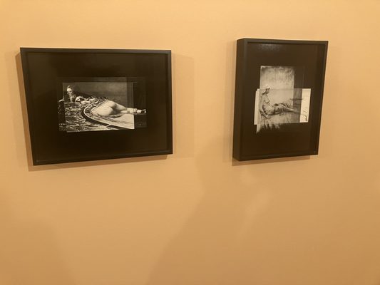 Museum of Contemporary Photography by null