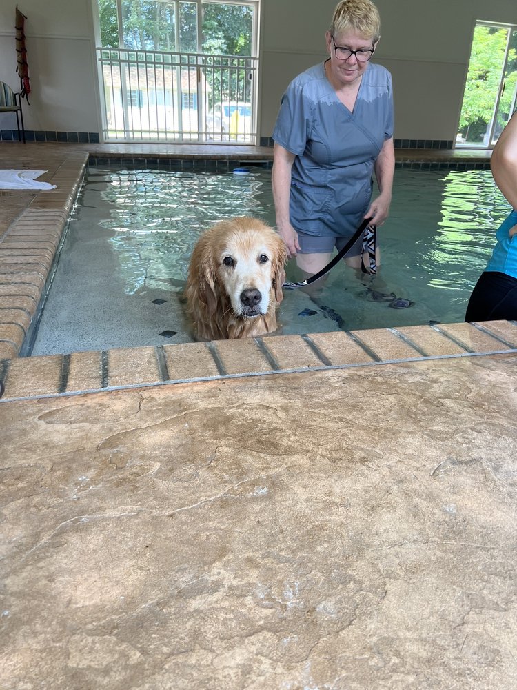 LAND OF PAWS Updated June 2024 12 Photos & 31 Reviews 3714 Whitney Ave, Hamden