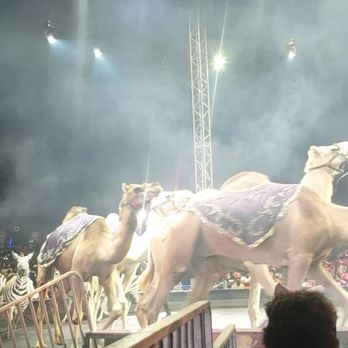UniverSoul Circus - Festivals Near Me - National Harbor, Maryland