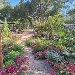Gringo Gardens