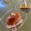 Unity Bagels - Melrose Place Farmers Market gift card