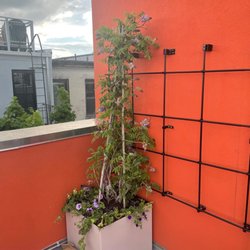 Oaktree Developers - Trellises